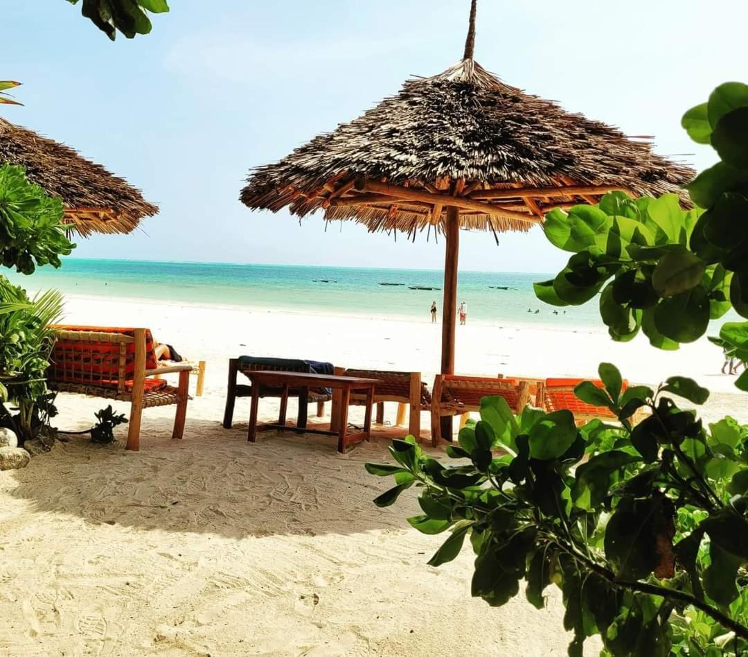 Sipano Beach Lodge Kiwengwa Kiwengwa  Bagian luar foto