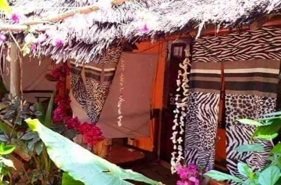 Sipano Beach Lodge Kiwengwa Kiwengwa  Bagian luar foto