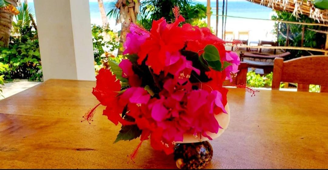 Sipano Beach Lodge Kiwengwa Kiwengwa  Bagian luar foto