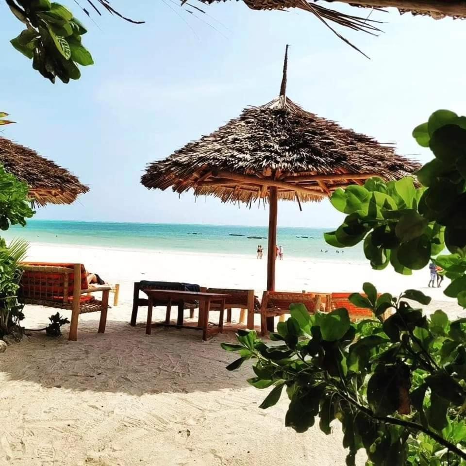 Sipano Beach Lodge Kiwengwa Kiwengwa  Bagian luar foto
