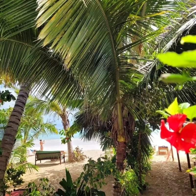 Sipano Beach Lodge Kiwengwa Kiwengwa  Bagian luar foto